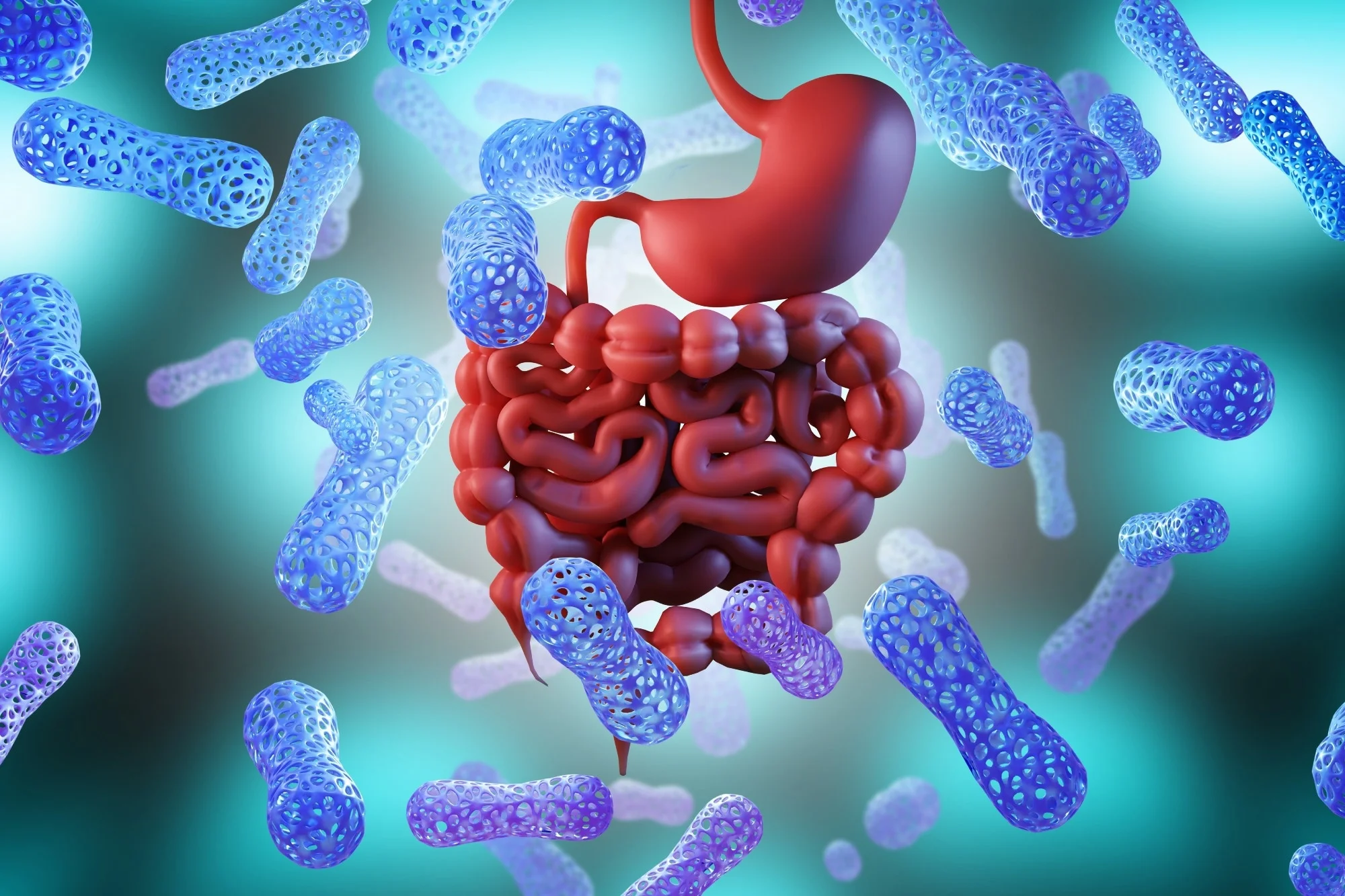 Gut Microbiome