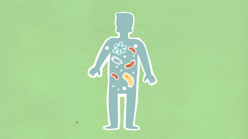 Gut Microbiome