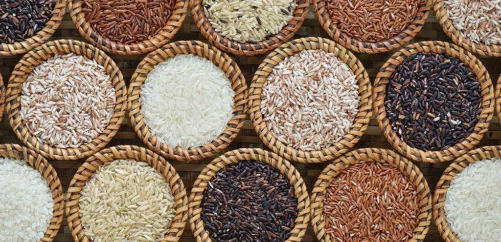 The Power-Packed Heritage of Sri Lanka’s Heirloom Rice: A Healthier Carb with a Timeless Story By