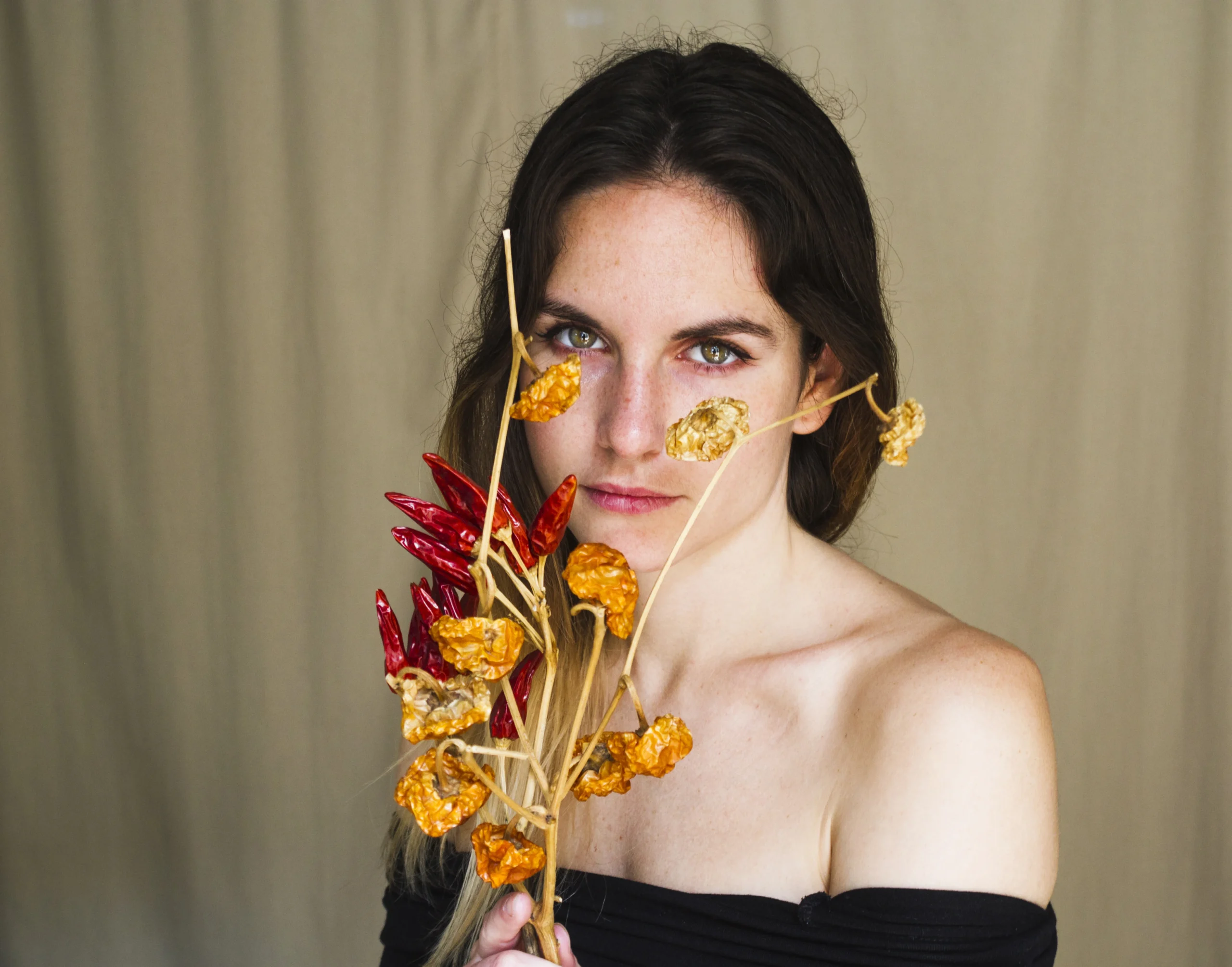 From Classical Ideals to Filtered Faces Are Modern Beauty Standards Unattainable?