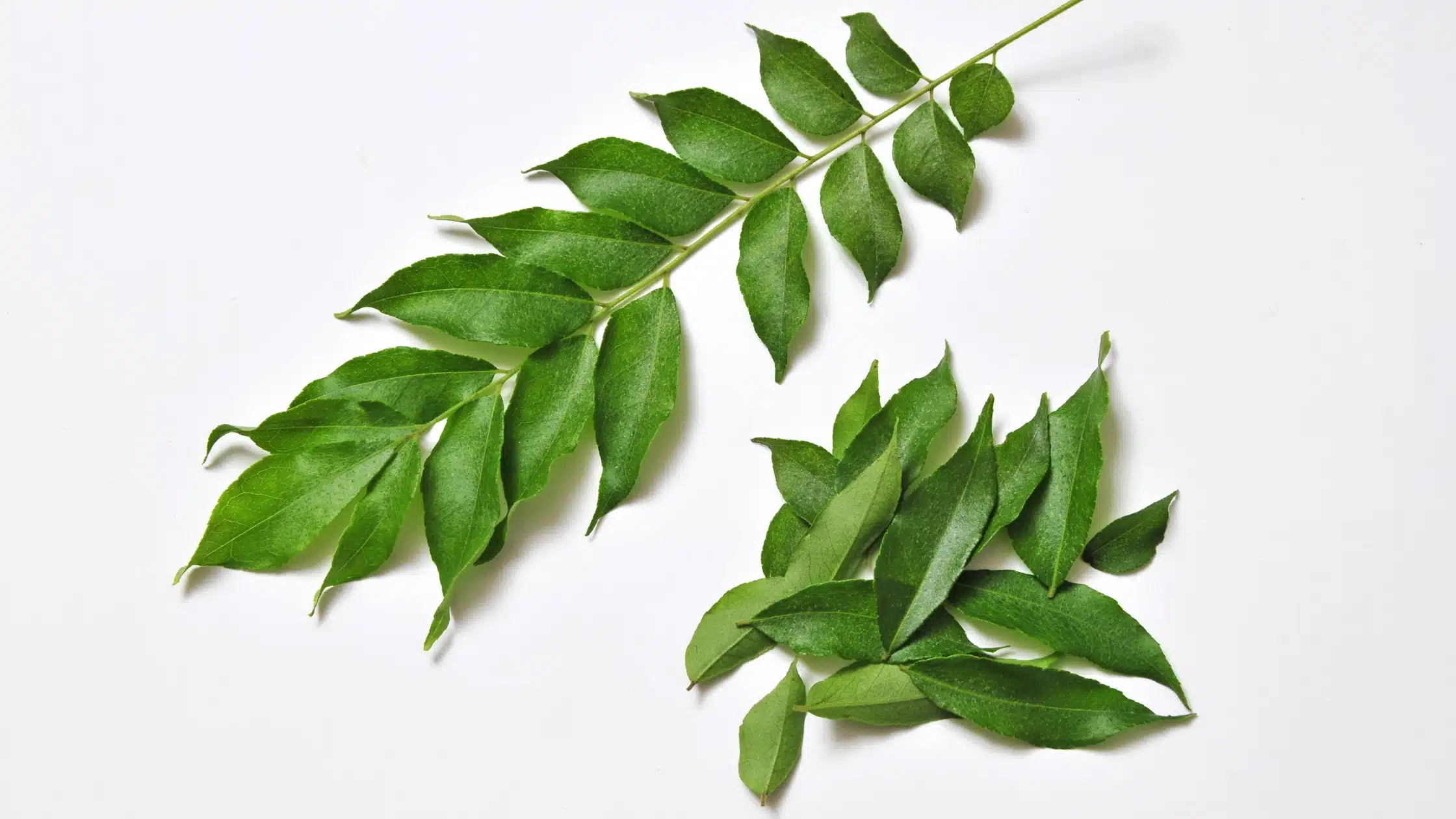 Curry Leaf Recipes Beyond Tempering: A Practical Guide